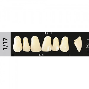 Стоматорг - Зубы Major A3,5  1/17 фронтальный верх, 6 шт (Super Lux).