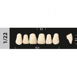 Стоматорг - Зубы Major B4  1/22 фронтальный верх, 6 шт (Super Lux).
