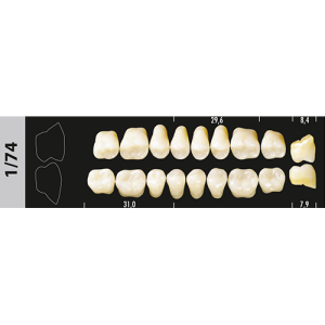 Стоматорг - Зубы Major D2 1/74 жевательный низ, 8 шт (Super Lux)