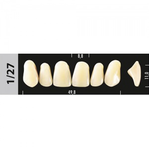 Стоматорг - Зубы Major B1 1/27 фронтальный верх, 6 шт (Super Lux).