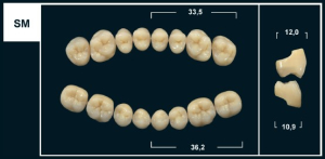 Стоматорг - Зубы Yeti C3 SM жевательный низ (Tribos) 8 шт.