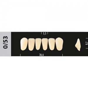 Стоматорг - Зубы Major A3 0/53 фронтальный низ, 6 шт (Super Lux).
