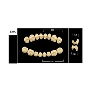 Стоматорг - Зубы Yeti A3,5 SMA жевательный низ (Tribos) 8 шт.