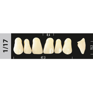 Стоматорг - Зубы Major D4 1/17, 28 шт (Super Lux)