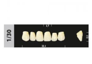 Стоматорг - Зубы Major B1 1/30 фронтальный верх, 6 шт (Super Lux).