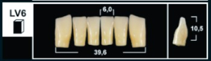 Стоматорг - Зубы Yeti A4 LV6 фронтальный низ (Tribos) 6 шт.