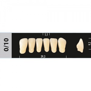 Стоматорг - Зубы Major D3 0/10 фронтальный низ, 6 шт (Super Lux)