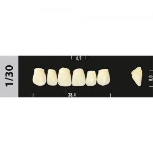 Стоматорг - Зубы Major D4  1/30 фронтальный верх, 6 шт (Super Lux)