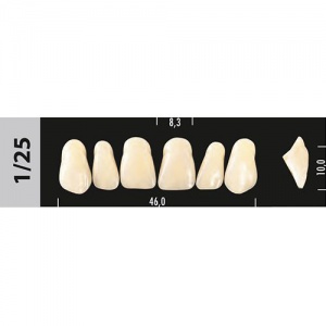 Стоматорг - Зубы Major B3  1/25 фронтальный верх, 6 шт (Super Lux).