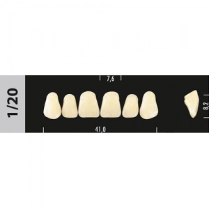 Стоматорг - Зубы Major D4  1/20 фронтальный верх, 6 шт (Super Lux)
