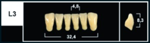 Стоматорг - Зубы Yeti C2 L3 фронтальный низ (Tribos) 6 шт.