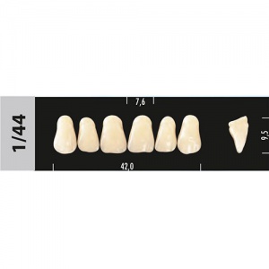 Стоматорг - Зубы Major D2  1/44 фронтальный верх, 6 шт (Super Lux)