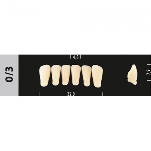 Стоматорг - Зубы Major D2 0/3 фронтальный низ, 6 шт (Super Lux)