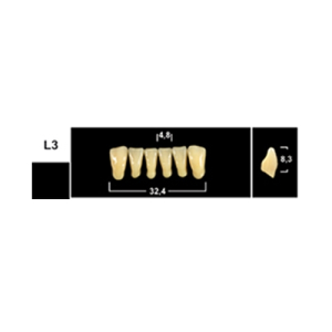 Стоматорг - Зубы Yeti B3 LV3 фронтальный низ (Tribos) 6 шт.