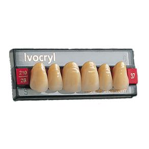 Стоматорг - Зубы Ivocryl Набор из 6 зубов A-D фронт.верх. 23 BL2.          