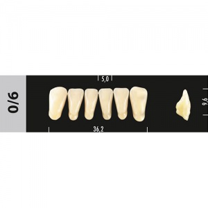 Стоматорг - Зубы Major B1 0/6 фронтальный низ, 6 шт (Super Lux).