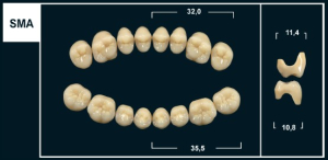 Стоматорг - Зубы Yeti C3 SMA жевательный верх (Tribos) 8 шт.