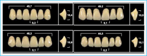 Стоматорг - Зубы Yeti B4 LV6 фронтальный низ (Tribos) 6 шт.
