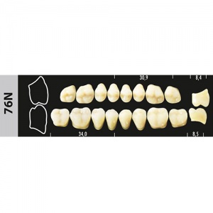 Стоматорг - Зубы Major D2 76N жевательный верх , 8 шт (Super Lux)