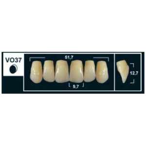 Стоматорг - Зубы Yeti A2 VO37 фронтальный верх (Tribos) 6 шт.