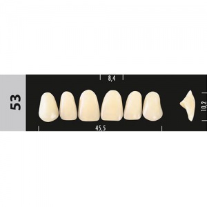 Стоматорг - Зубы Major D2  53 фронтальный верх, 6 шт (Super Lux)