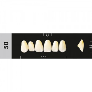 Стоматорг - Зубы Major A3  50 фронтальный верх,  6 шт (Super Lux).