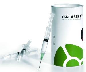 DIRECTA Каласепт (4 шприца х1,5 мл+20 игл) материал стоматологический пломбировочный временный.