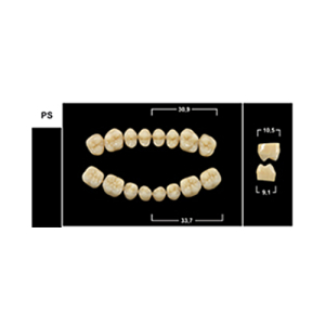 Стоматорг - Зубы Yeti A3 PS жевательный верх (Tribos) 8 шт.