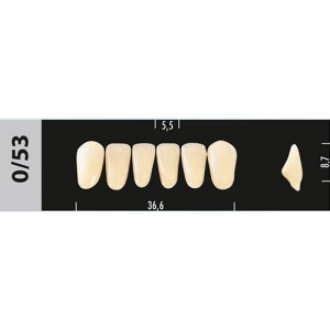 Стоматорг - Зубы Major B3 0/53 фронтальный низ, 6 шт (Super Lux).