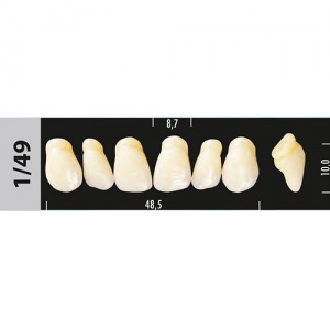 Стоматорг - Зубы Major D4  1/49 фронтальный верх, 6 шт (Super Lux)