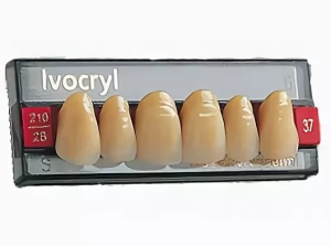Стоматорг - Зубы Ivocryl Набор из 6 зубов Chromascop фронт.верх. 33 510.           