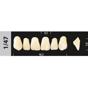 Стоматорг - Зубы Major D3  1/47 фронтальный верх, 6 шт (Super Lux)