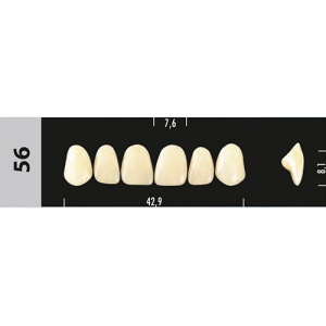 Стоматорг - Зубы Major D2  56 фронтальный верх, 6 шт (Super Lux)