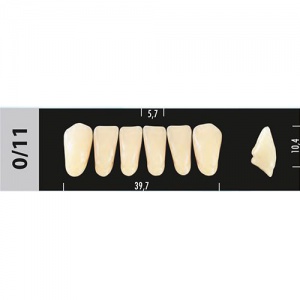 Стоматорг - Зубы Major D2 0/11 фронтальный низ, 6 шт (Super Lux)