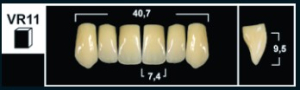 Стоматорг - Зубы Yeti A2 VR11 фронтальный верх (Tribos) 6 шт.