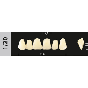 Стоматорг - Зубы Major C1  1/20 фронтальный верх, 6 шт (Super Lux)