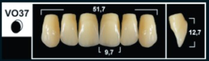 Стоматорг - Зубы Yeti B1 VO37 фронтальный верх (Tribos) 6 шт.
