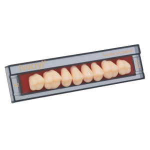 Стоматорг - Зубы Ivocryl Набор из 8 зубов A-D жевательный верх. 30 A2.          
