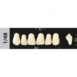 Стоматорг - Зубы Major A3,5  1/48 фронтальный верх, 6 шт (Super Lux).