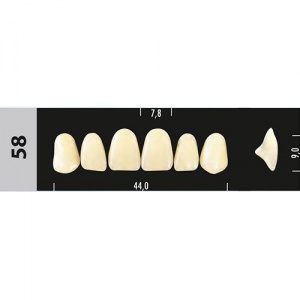 Стоматорг - Зубы Major D2  58 фронтальный верх, 6 шт (Super Lux)