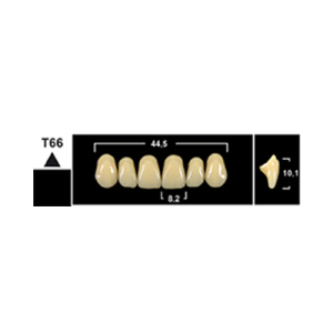 Стоматорг - Зубы Yeti A3 T66 фронтальный верх (Tribos) 6 шт.
