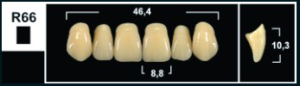 Стоматорг - Зубы Yeti BL3 R66 фронтальный верх (Tribos) 6 шт. 