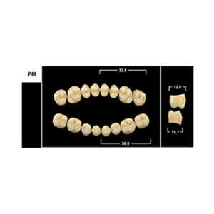 Стоматорг - Зубы Yeti A3 PM жевательный низ (Tribos) 8 шт.