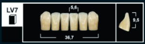 Стоматорг - Зубы Yeti A3 LV7 фронтальная группа, нижние (Tribos) 6 шт.