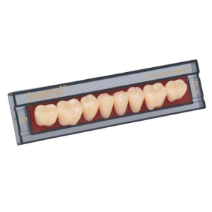 Стоматорг - Зубы Ivocryl Набор из 8 зубов A-D жеват.низ. 32 A2.           