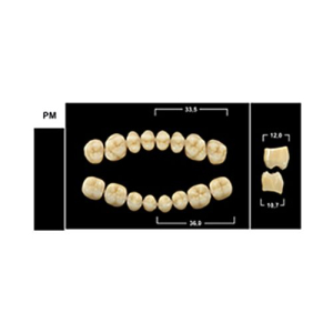 Стоматорг - Зубы Yeti C4 PM жевательный верх (Tribos) 8 шт.