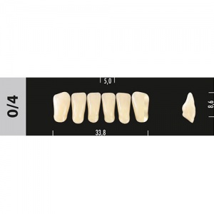 Стоматорг - Зубы Major D2 0/4 фронтальный низ, 6 шт (Super Lux)