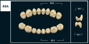 Стоматорг - Зубы Yeti C3 SSA жевательный низ (Tribos) 8 шт.