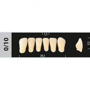 Стоматорг - Зубы Major A3,5 0/10 фронтальный низ, 6 шт (Super Lux).