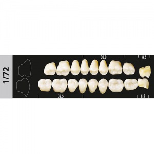 Стоматорг - Зубы Major A1 1/72 жевательный низ, 8 шт (Super Lux).